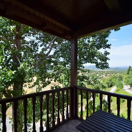 Wooden In Woods * Zigovisti