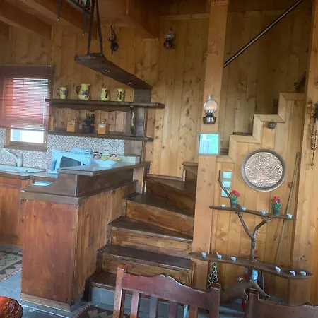 Σαλέ Wooden In Woods Zigovisti