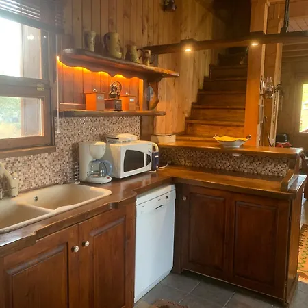 Wooden In Woods Zigovisti