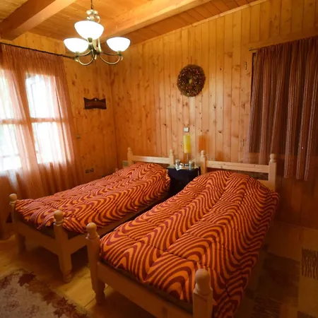 Wooden In Woods *