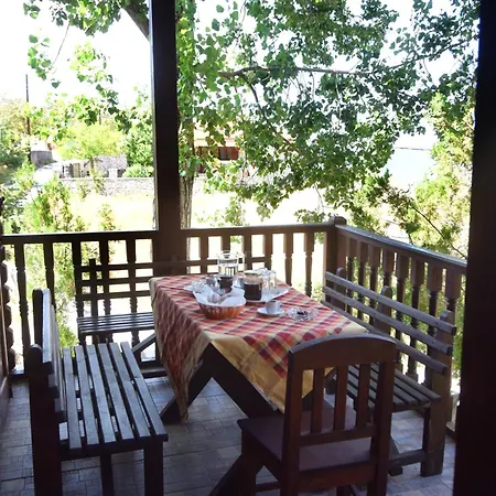 Wooden In Woods * Zigovisti