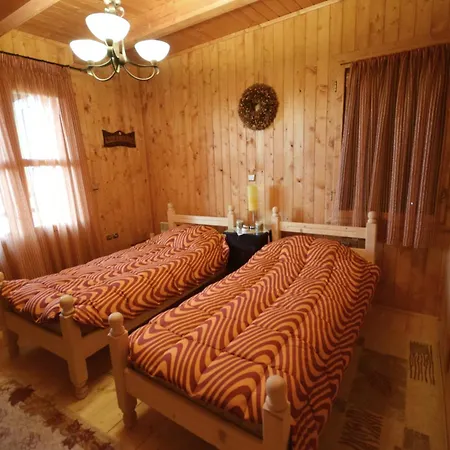 Wooden In Woods * Zigovisti