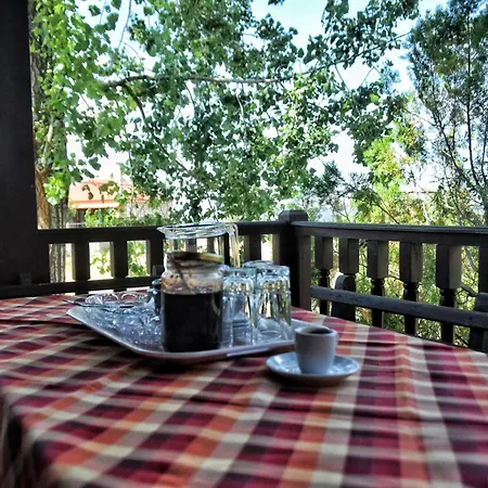 Wooden In Woods * Zigovisti