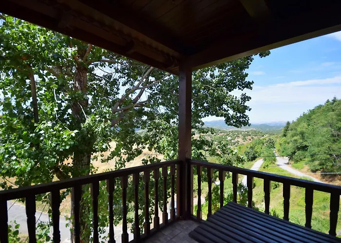 Wooden In Woods * Zigovisti