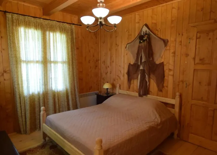 Wooden In Woods * Zigovisti