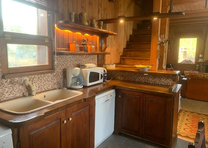 Wooden In Woods Zigovisti