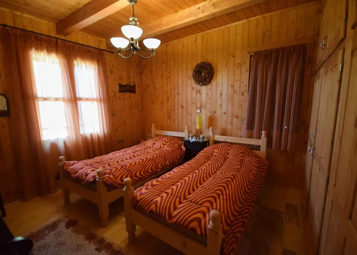 Wooden In Woods Alpehytte Zigovisti