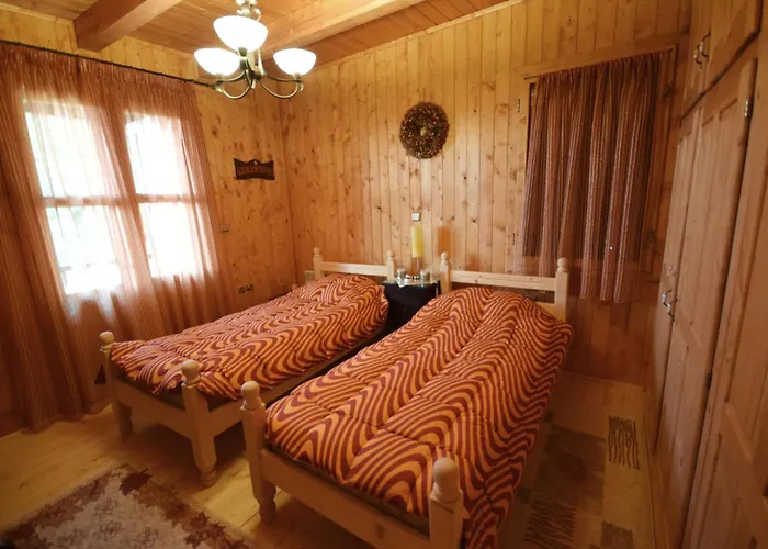 Wooden In Woods * Zigovisti