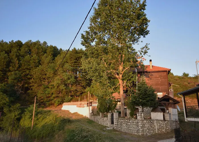 Chalet Wooden In Woods Zigovisti