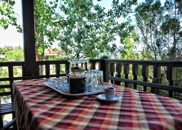 Wooden In Woods * Zigovisti